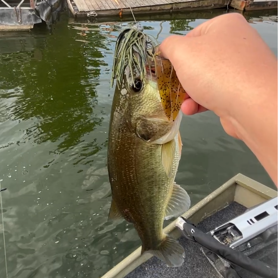 A person holding a freshly caught largemouth bass over the side of a boat on a lake, with docks, trees, and water in the background.